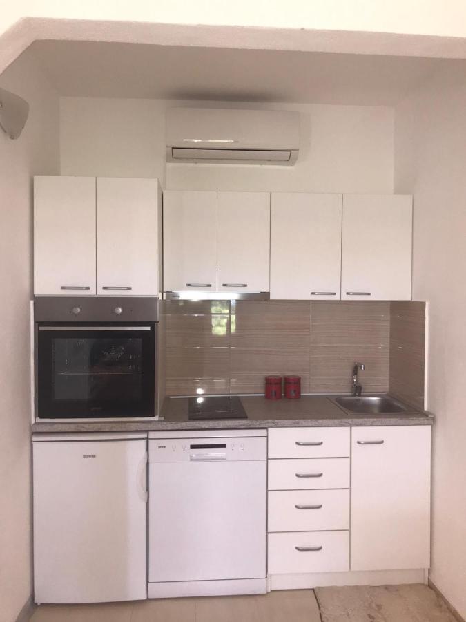 Apartment Elena *